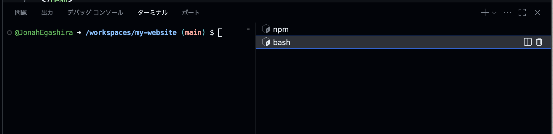 bash-new