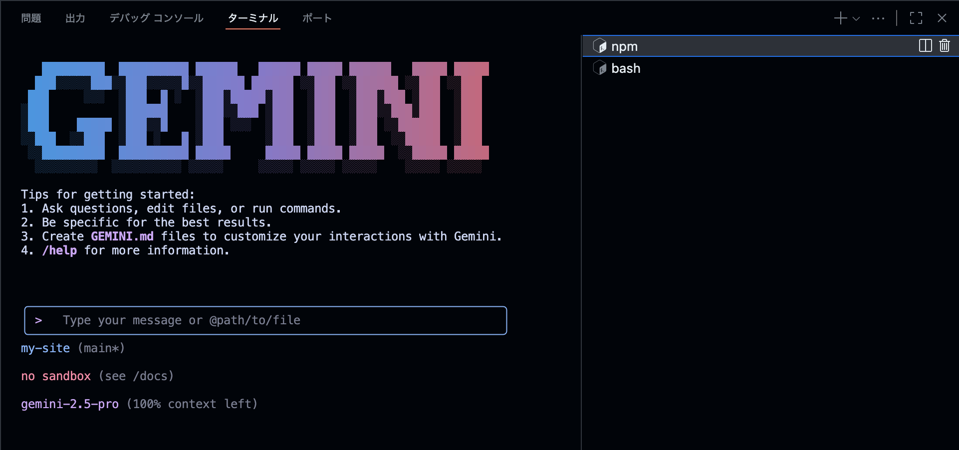 Gemini NPM